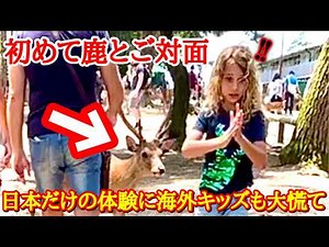 「こんなの日本だけ！」日本だけの特別な体験に外国人観光客も大満足