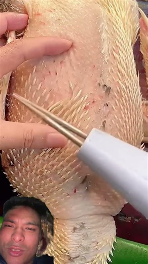Kukhura ko vutla safa garne machine #chicken #cutting #meatlover #machinery #pouritup #tractor #food