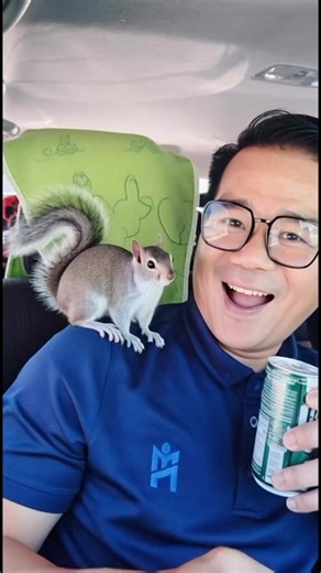 วิดีโอของ นาย โตโต้ (@totoreal_united) พร้อมเพลง เสียงต้นฉบับ - Rinrisa..Min