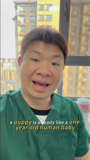 Dog Age Is WRONG… Here’s the Real Truth