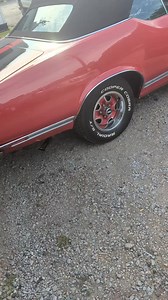 7.4K views · 143 reactions | Trunk getting active - Download the Car...