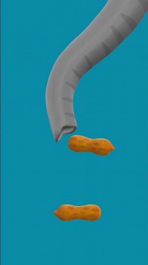 The Letter V is Vacuum in AlphaTots Alphabet