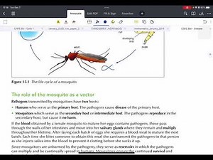 CSEC Biology - Diseases & Immunity