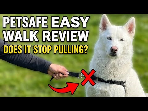PetSafe Easy Walk Harness Review: Does It Actually Stop Pulling?