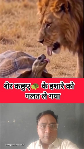Funny videos|Reaction shorts| Comedy videos| #funny #comedy #memes #shorts #lionshorts #viralshorts