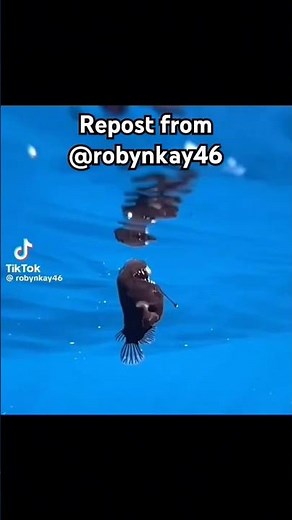 Angler Fish Last Moments #anglerfish