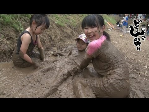 吉井どろんこ祭り（2016年6月）