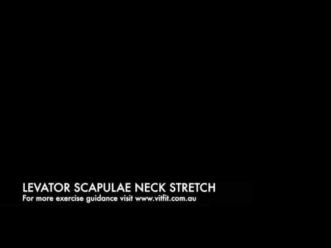 LEVATOR SCAPULAE NECK STRETCH