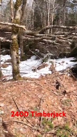 240D TIMBERJACK SKIDDER PULLIN HUGE | Benjamin Matdermongel