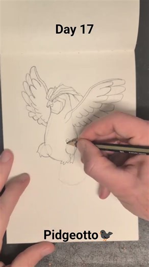 Day 17 of drawing the Pokedex, Pidgeotto🐦‍⬛ #pokemon #art #drawing #challenge #pokemonart #sketch