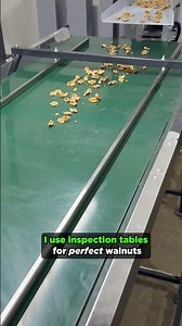 I use inspection tables for PERFECT Walnuts! #walnut #nuts