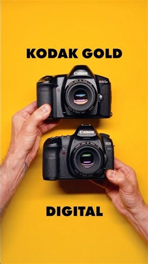 Kodak Gold vs digital 5D mkII
