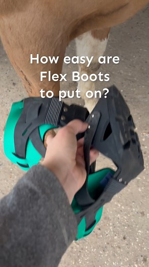 6.4K views · 27 reactions | Flex Boots are super easy to use! The...