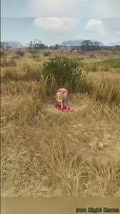 250m Gold Springbok Long Shot! | The Hunter: Call of the Wild #cotw #hunting #thehunter #springboks