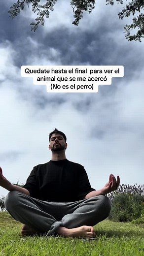 7 señales de que estás vibrando alto: ❤️ Los animales se sienten atraídos por vos y seguros a tu lado. ❤️ Empiezas a ver señales y sincronicidades donde no las veías. ❤️ Los niños y niñas se sienten atraídos y cómodos con vos. ❤️ Personas desconocidas se abren y te cuentan sus problemas e historias de vida. ❤️ Sos más susceptible a las energías de la gente y los lugares. ❤️ Muchas personas que ya no vibran en la misma sintonía empiezan a abrirse de tu camino. ❤️ Te sentís más cómodo/a en soledad
