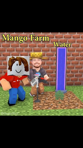 Roblox Mango Farm and Gameplay | Blox Fruits