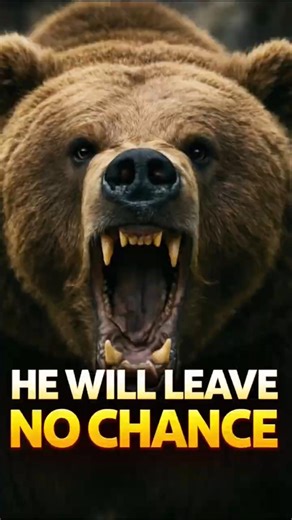 Kodiak Bear — Alaska’s Mighty Predator #bear #predator #wildlife #animals #shorst