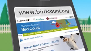 5.5K views · 210 reactions | Love watching birds? Want to make a difference? The 20th annual Great Backyard Bird Count starts tomorrow! Join bird watchers from around the world in this fun and important event! The count is similar to FeederWatch, but takes place over only four days from Feb 17-20. Get involved @ www.birdcount.org. | Project FeederWatch | Facebook