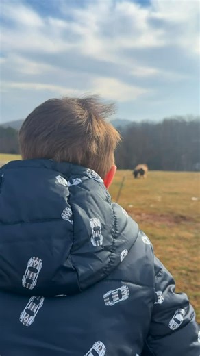 MEGAN HUNSAKER 🦋 on Instagram: "Such a magical day with the boys at “the North Pole” 🥹🚂✨❄️🎄🧸🎅🏼"