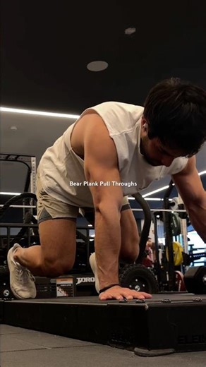 Bear plank pull throughs #core #abs