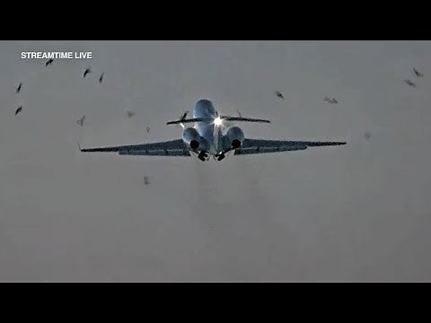 Video captures bird strike on plane during takeoff from Midway
