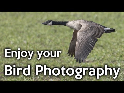 Photographing Birds on a beautiful Autumnal morning