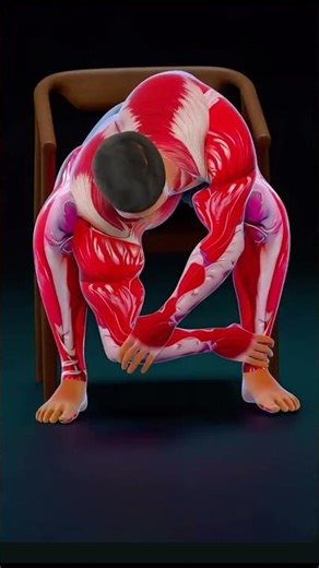 mid scapular stretch #scapularpain #shoulder #upperdeck #fitness #stretching #workout #physiotips