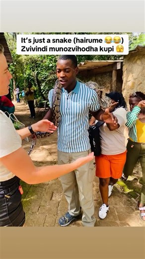 🐍. #animals #snake #python #safari #forest