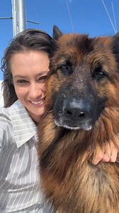 509K views · 28K reactions | #fblifestyle #funnyanimals | apollo_germanshepherd | Facebook