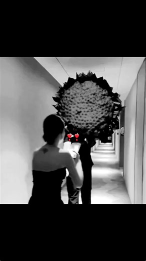 Shakira: Whenever, Wherever Fan Art