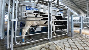 Milking Robot