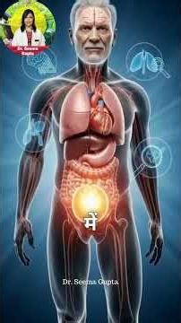 Prostate Gland - ये आदतें आपके प्रोस्टेट को बढ़ा देती है - 3D Animation की मदद से जानें - अभी छोड़ें