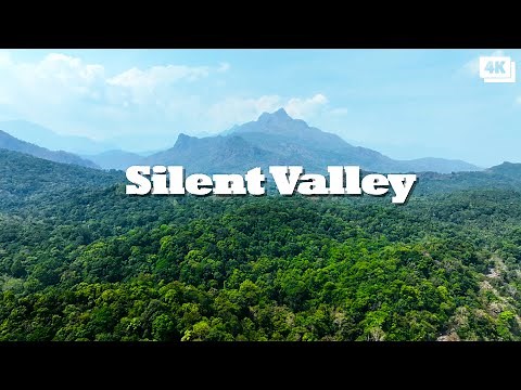 The Heart of Nilgiri's - Silent Valley National Park - Kerala - 4K