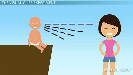 Studying Infant Development in Psychology: Experiments, Instincts & Abilities