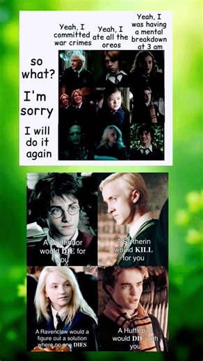 🪄 Hogwarts House Loyalty Gone Wild: Who'd Die for You at 3 AM? 🧙‍♂️