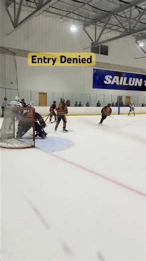 These Defensive Plays are NASTY #hockey #shorts