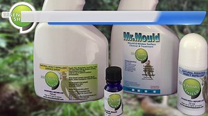 161K views · 2.5K reactions | ALL NATURAL MOULD REMOVAL & INSECT...