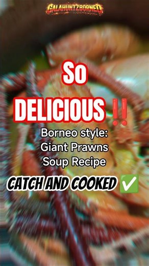 Borneo Giant Prawn Catch & Cook from River to Delicious Soup!