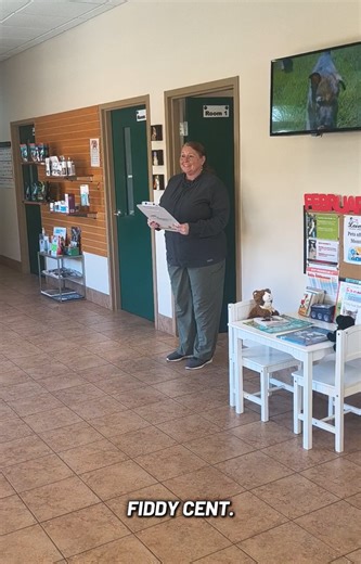 Creative Pet Names That Will Make You Smile