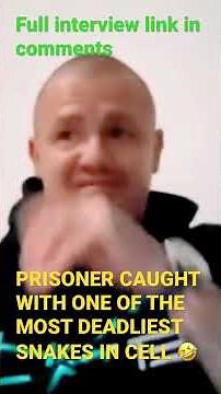 PRISONER CAUGHT WITH DEADLY PET SNAKE IN CELL #podcast #crime