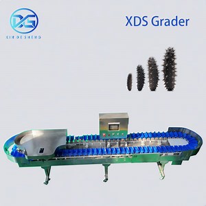 [Hot Item] Automatic Fish Sorting Machine for Frozen Seafood Processing Plant