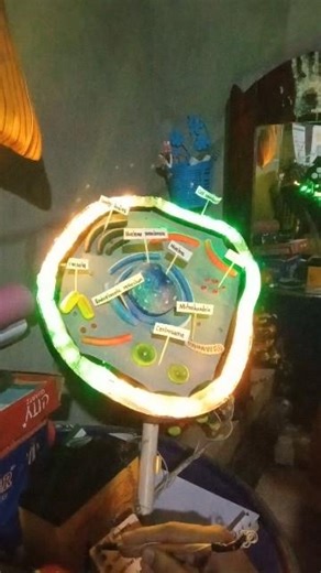 How to make 3D Model of Animal cell? #science #experiment #viral