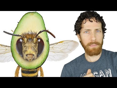 Avocados Aren't Vegan Now?