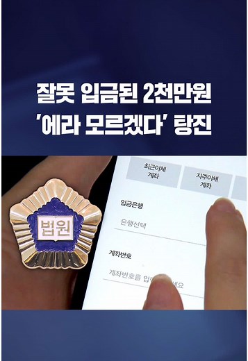 착오 송금 사건, 20대 남성의 벌금 500만 원