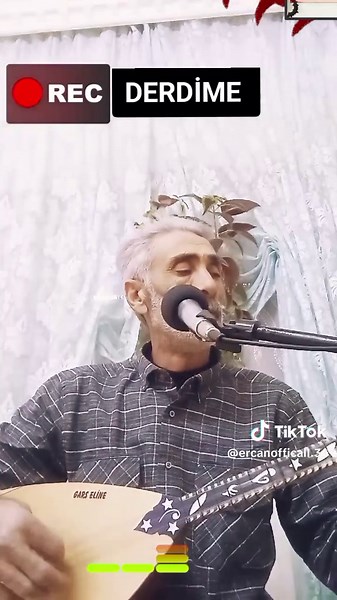 Bouzouki Performance: String Strumming in a Cozy Setting