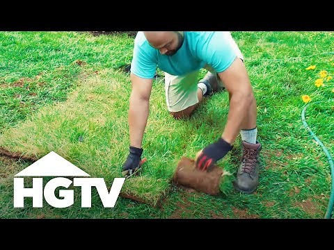 Way to Grow: Patch Up the Lawn With Sod | HGTV