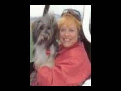 My tribute to Pippin the dog