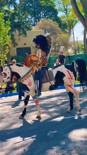 Gathering of Nations! Awesome Horse Parade showcasing riders in traditional regalia #indigenous #fpy
