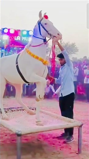 Tung Tung baje 🤣 #funny #trending #youtubeshorts #shortsfeed