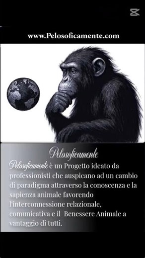 Una sola parola esprime il sentire animale: Pelosoficamente... #animals #virtual-rooms